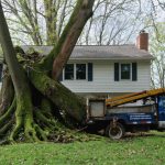 How a Tree Company’s Cleanup Led to a $6,000 Heist at a Suburban Home